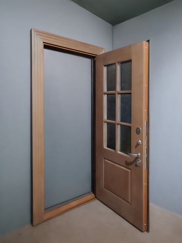 Дверь в открытом виде Дверь в открытом виде